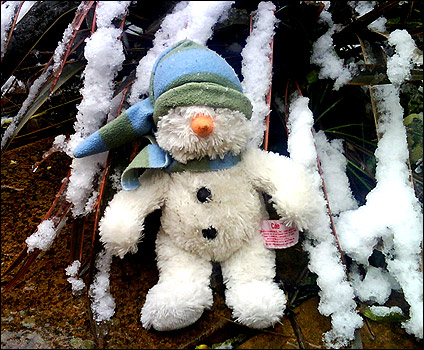snowy.424.jpg
