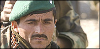 musa203x100.jpg