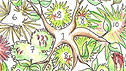 Planting plant from the Yoga Garden at Hampton Court 2010