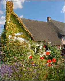 cottagegarden226283.jpg
