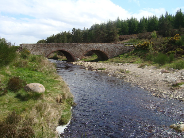 bridge.jpg