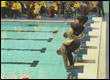 The Aquatics Centre