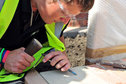 UK Skills Garden Build