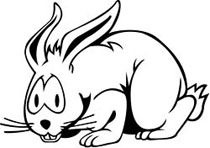 rabbit.jpg