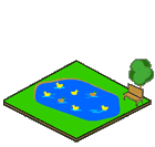 Pond