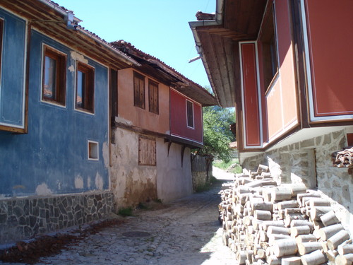 4597.JPG