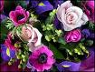 flowers.jpg