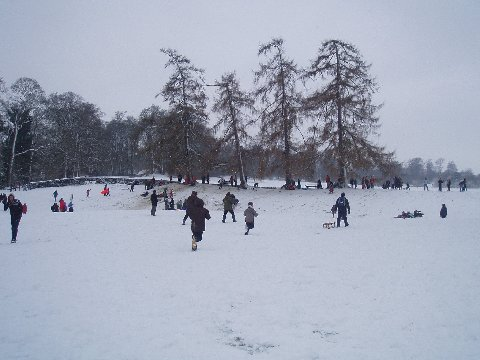 s1015.jpg
