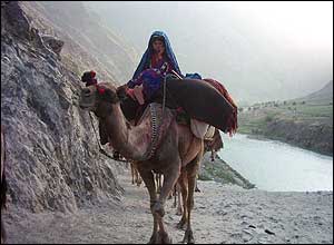کوچ