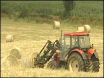 Tractor in a field