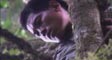 dailylife's video screenshot thumbnail