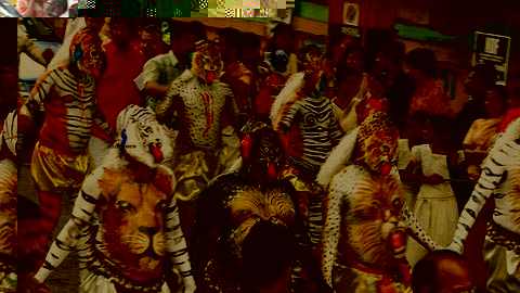 Tigers