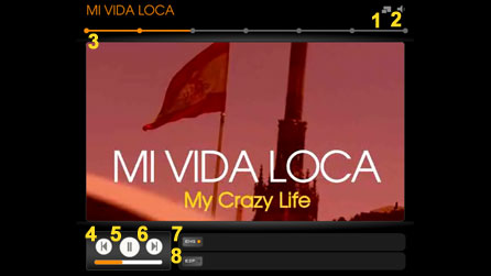 Video player