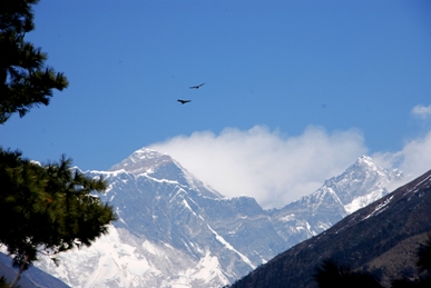 Everestview.jpg