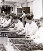 Factory floor