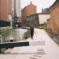 Find a Walk