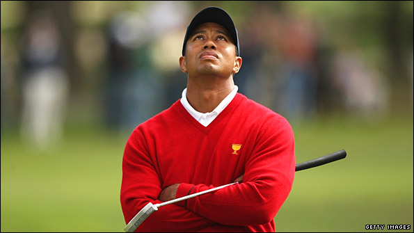 woods595.jpg
