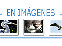 fotos_203.gif