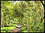 Hay head wood nature reserve.