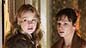 Sparrow and Nightingale