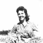 Muriel enjoying the harvesting. Muriel enjoying the harvesting.