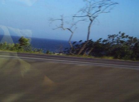 the sea