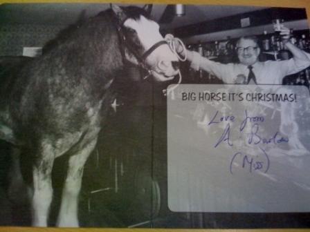 horseb.JPG
