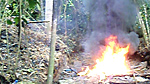 Peruvian Military Police stand guard whilst they burn a bossa.