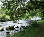 Badgworthy Water