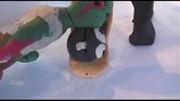 Animation Animation
