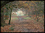 Merrions Wood Nature Reserve