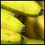 Bananas