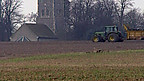 Nitrogen ac Elfennau Eraill