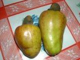 caju is a fruit excellent for juice