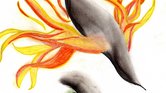 Krulius FlameShip...