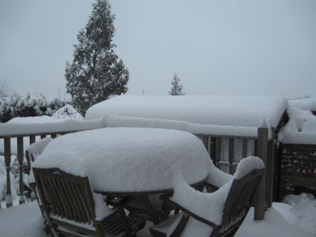 snowy62.jpg