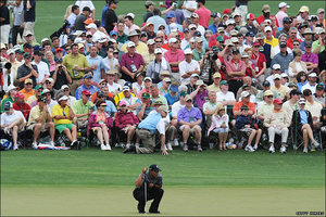 TIGER.jpg