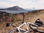 Cycle Scenic