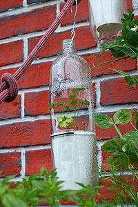 bottle_propagator.jpg