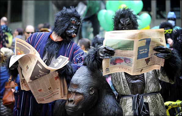 gorillasinthecity_pa.jpg