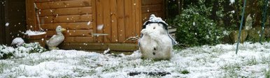 Snow In March???????