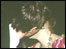 kissing couple