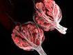 Foto: Oliver Braubach/Nikon Small World