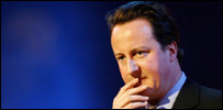cameron_203.jpg