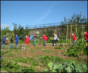 Kids in the Garden
