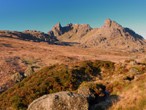 The Cobbler