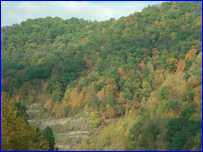 westvirginia203.jpg