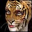 مسابقه عکس سازی