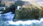 click to enlarge