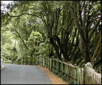 Marine Drive